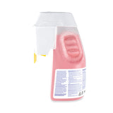 Final Step Sanitizer, Liquid, 2.5 L Spray Bottle