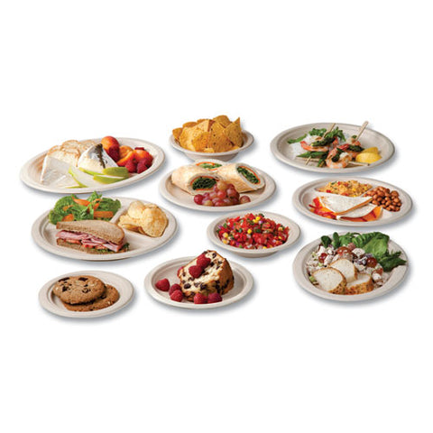 Nourish Molded Fiber Tableware, Compostable, Platter, Sugarcane, 8 X 10, White, 500/carton