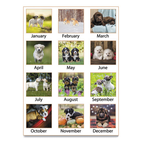 Puppies Monthly Wall Calendar, 15.5 X 22.75, 2022