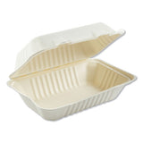 Bagasse Molded Fiber Food Containers, Hinged-lid, 1-compartment 9 X 6 X 3.19, White, 125-sleeve, 2 Sleeves-carton