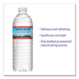 Alpine Spring Water, 16.9 Oz Bottle, 35-case