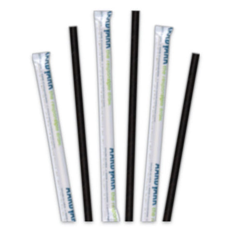 Aardvark Paper Straws, 5.75", Black, 3,200-carton