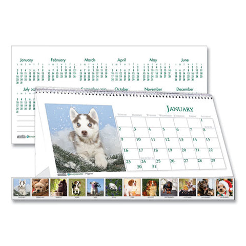 Recycled Puppy Photos Desk Tent Monthly Calendar, 8.5 X 4.5, 2021