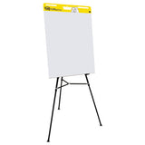 Self-stick Easel Pads, 25 X 30, White, 30 Sheets, 2-carton