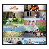 Pets Collection Monthly Desk Pad, 22 X 17, Puppies, 2021